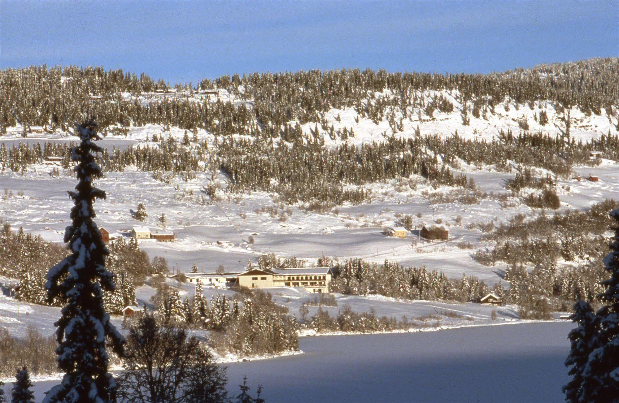 Valdres Hoyfjellshotell Steinsetbygdi 외부 사진